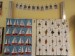 IMG_20240327_070335_189 (1)
