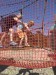 IMG-20240625-WA0023